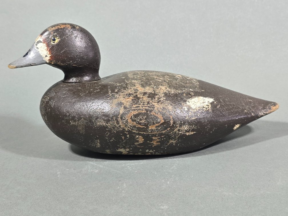 Bluebill Hen Attributed to James  E. Stanley,  Cape Vincent,  NY
