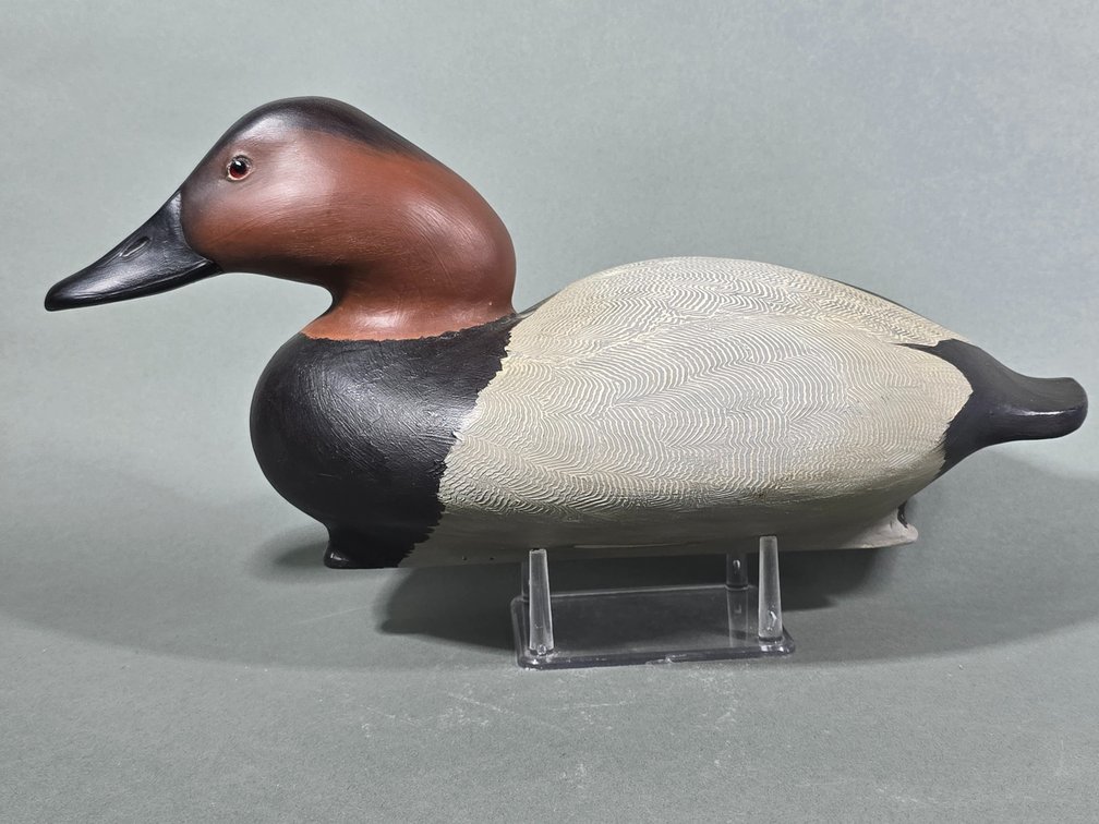 Joseph  B. Garton, Smith Falls, Ontario,  Canada  Canvasback