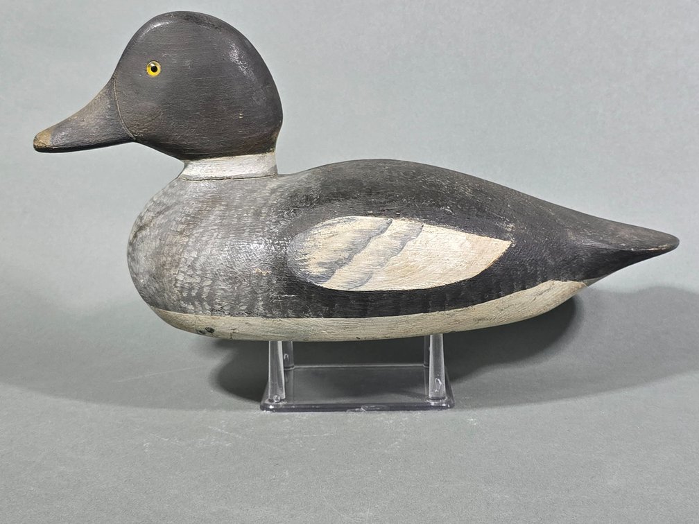 James E. Stanley, Cape Vincent,  NY Goldeneye