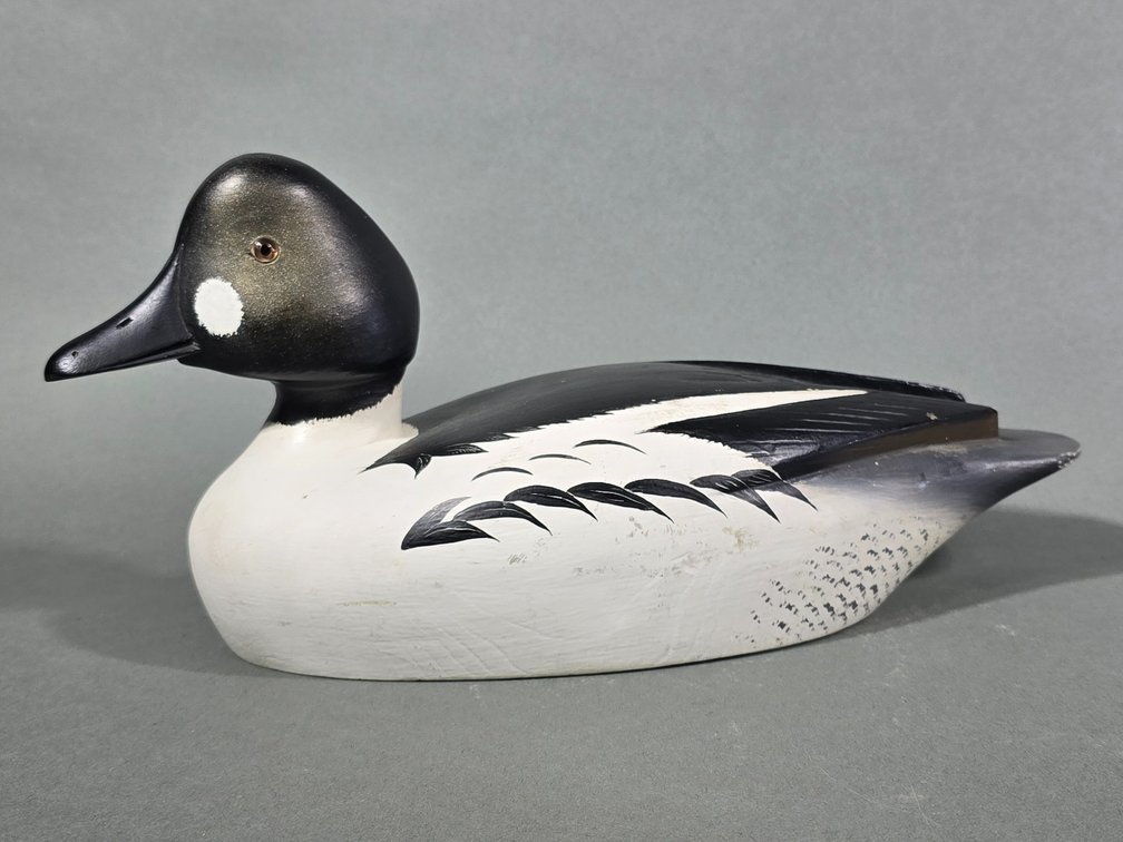 Reg Bloom,  Kingston,  Ontario,  Canada Goldeneye