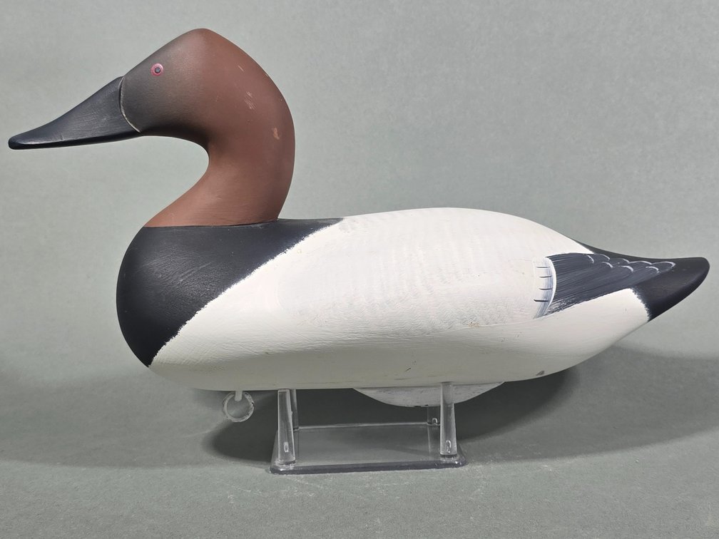 Upper Chesapeake Bay Canvasback
