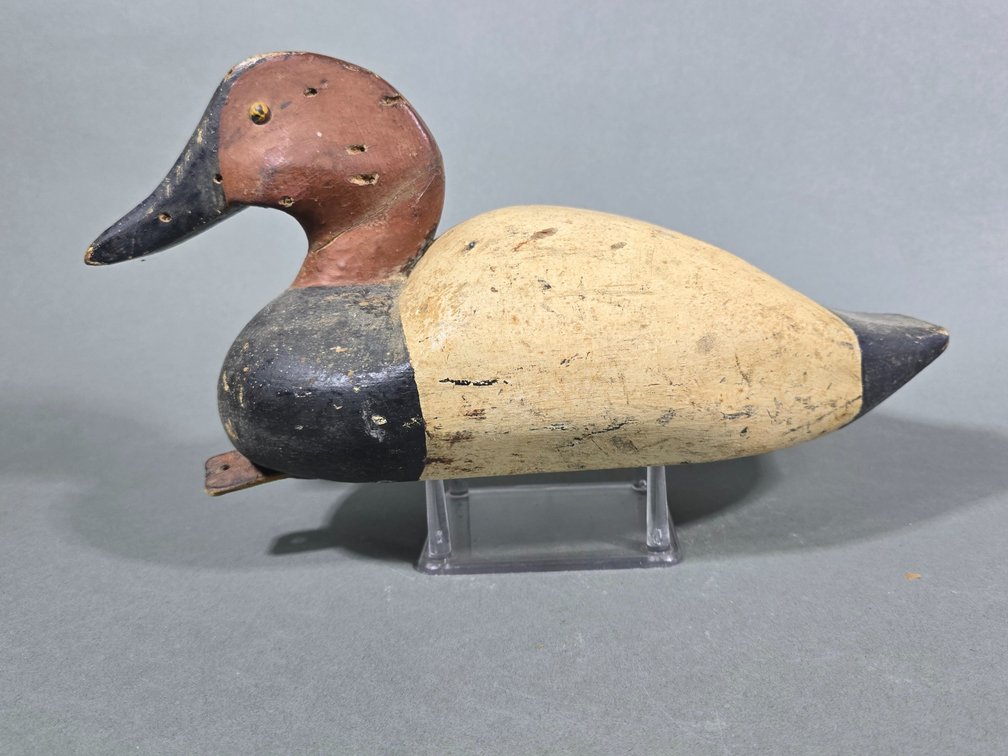 Canvasback Decoy
