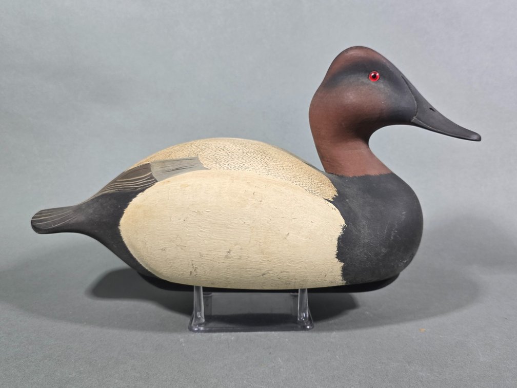 Jack Sweet, Erie, PA Canvasback