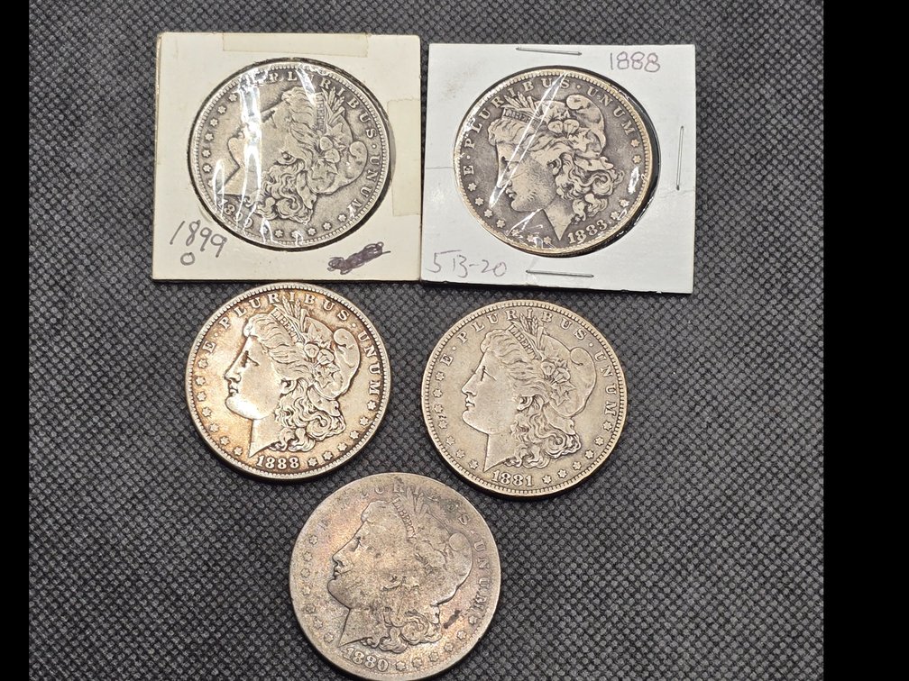 5 Morgan Silver Dollars