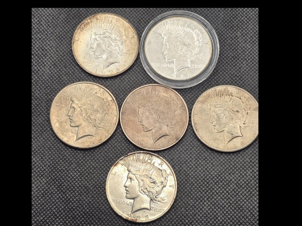 6 Peace Silver Dollars