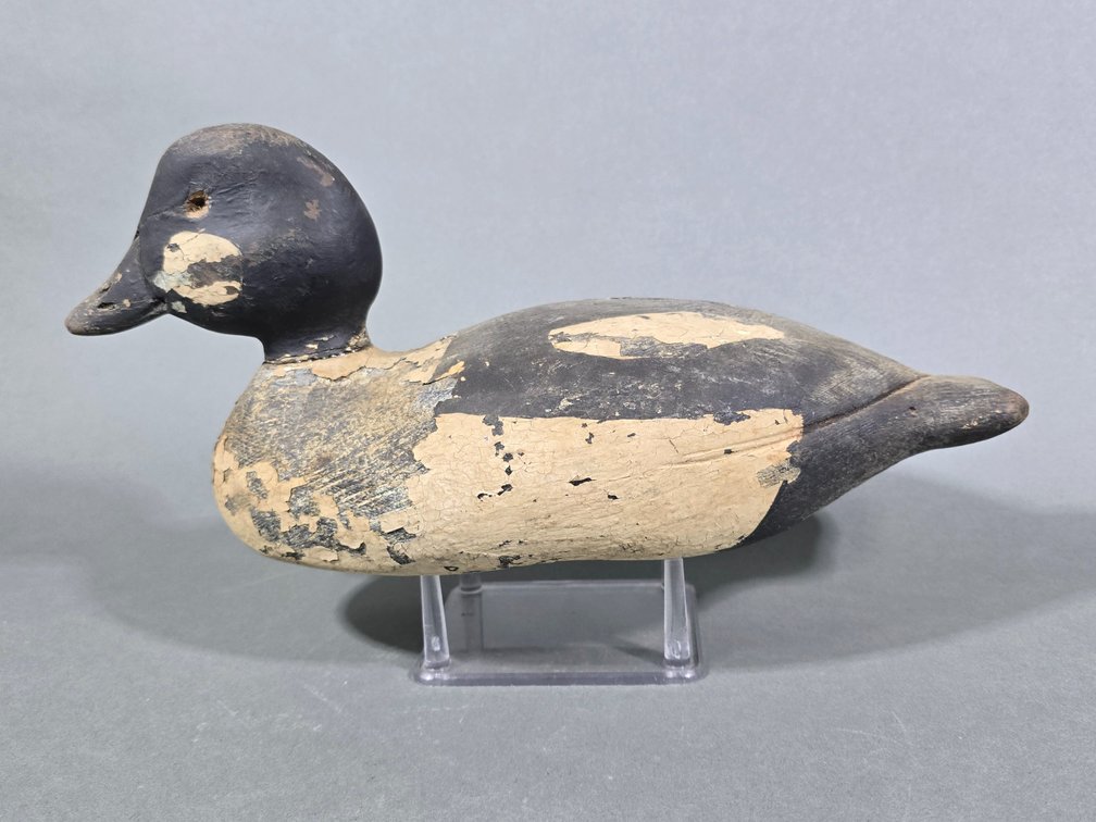Goldeneye, Unknown Maker