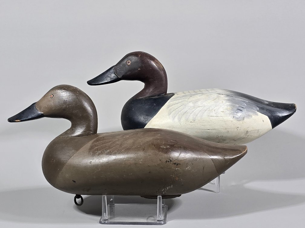Paul Gibson Havre de Grace,  MD Canvasback Pair