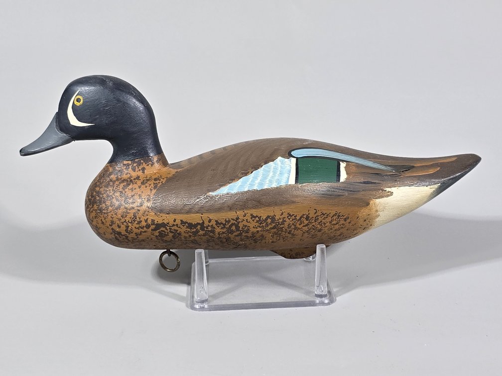 Madison Mitchell,  Havre de Grace,  MD Bluewing Teal