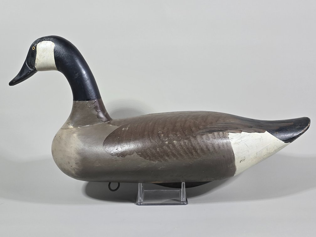 Madison Mitchell Havre de Grace,  MD Canada Goose