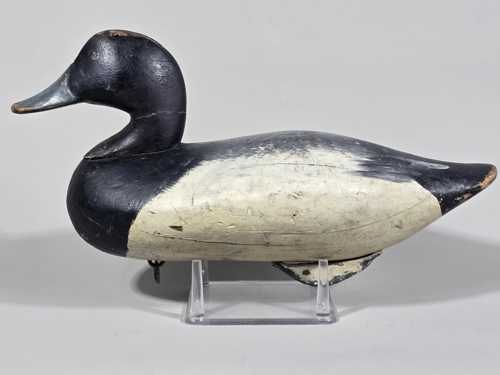 R Madison Mitchell, Havre de Grace, MD, Bluebill