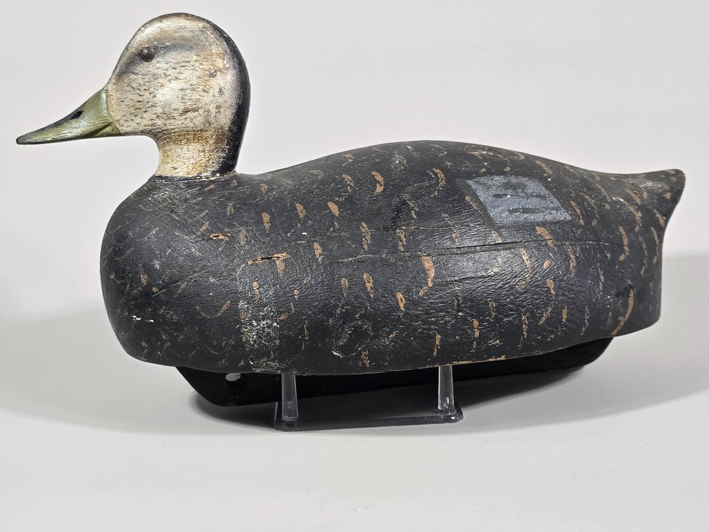 Black Duck, Unknown Maker