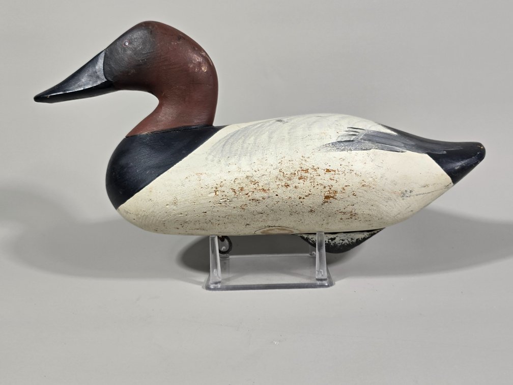 R Madison Mitchell, Havre de Grace, MD, Canvasback