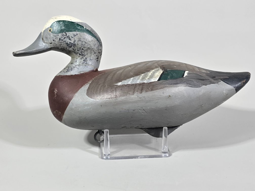 Madison Mitchell Havre de Grace,  MD Widgeon