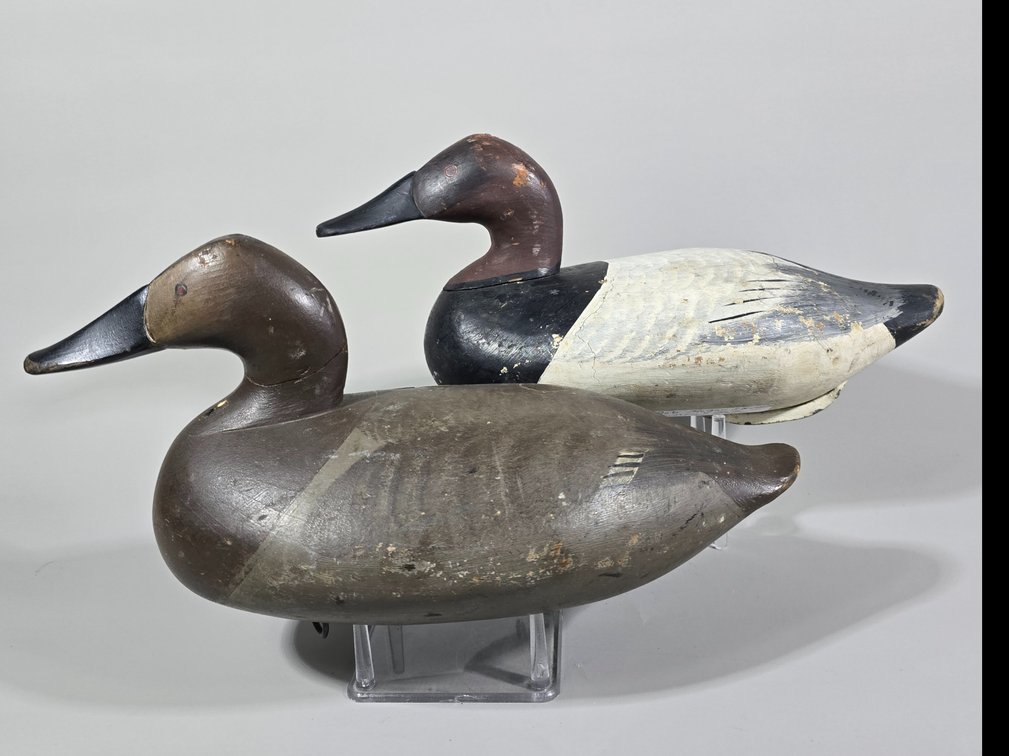 Bob McGaw,  Havre de Grace,  MD Canvasback Pair