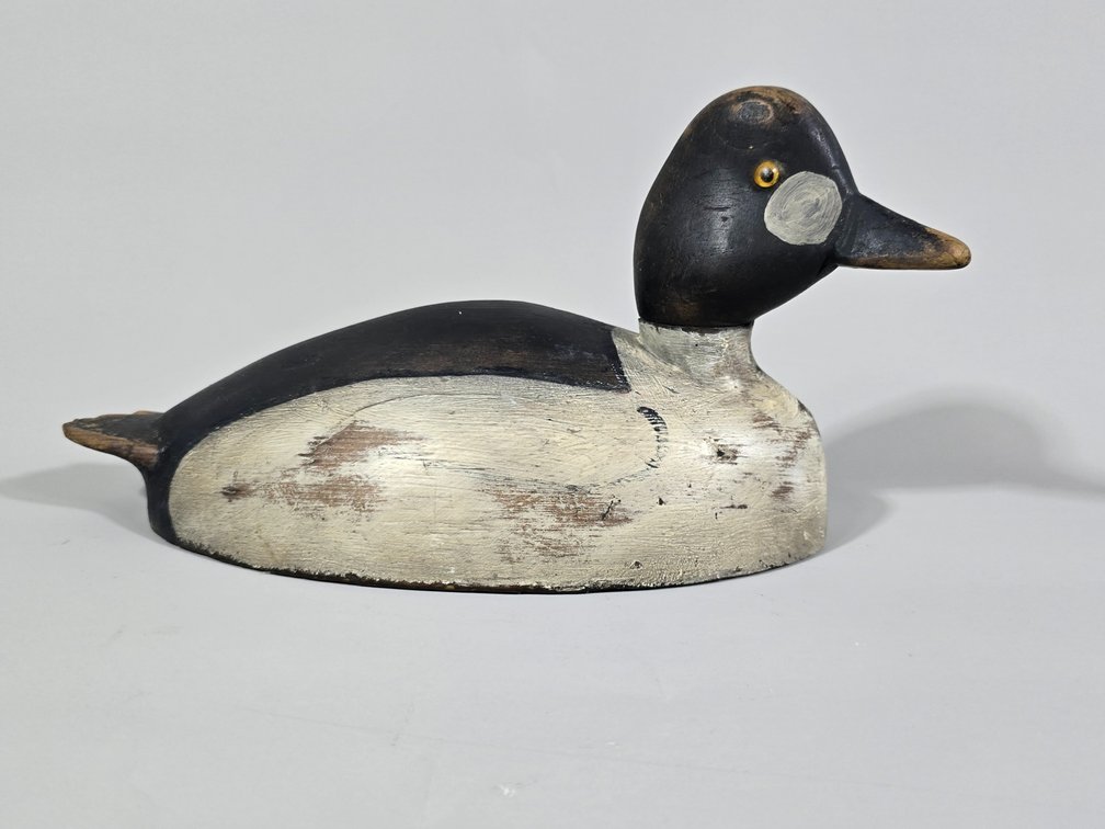 New England, Goldeneye