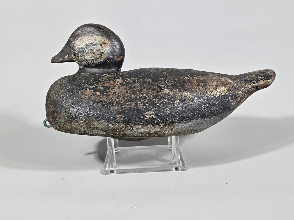 Ruddy Duck, Unknown Maker