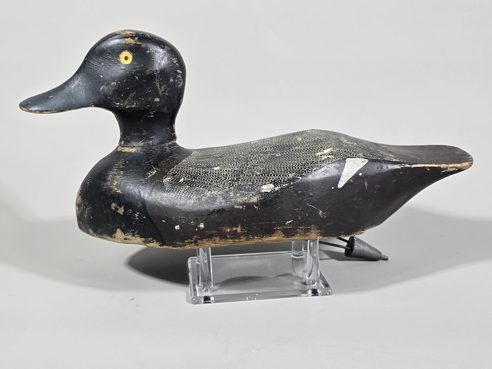 Jess Baker, Ontario,  Canada Bluebill
