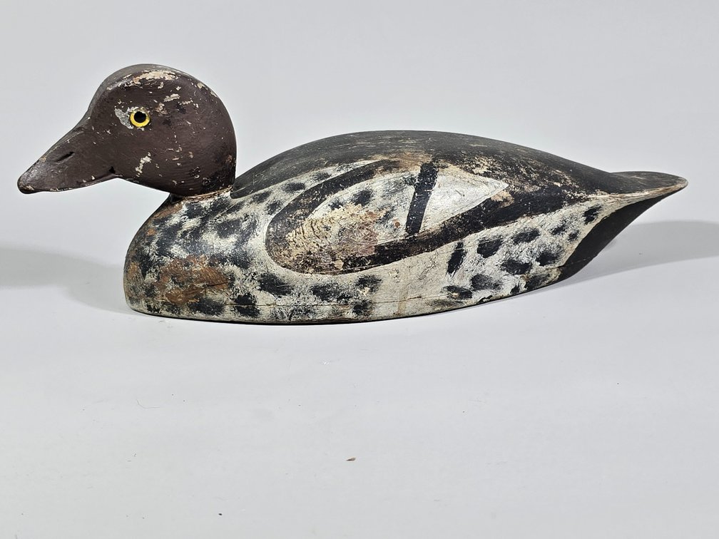New England, Goldeneye Hen