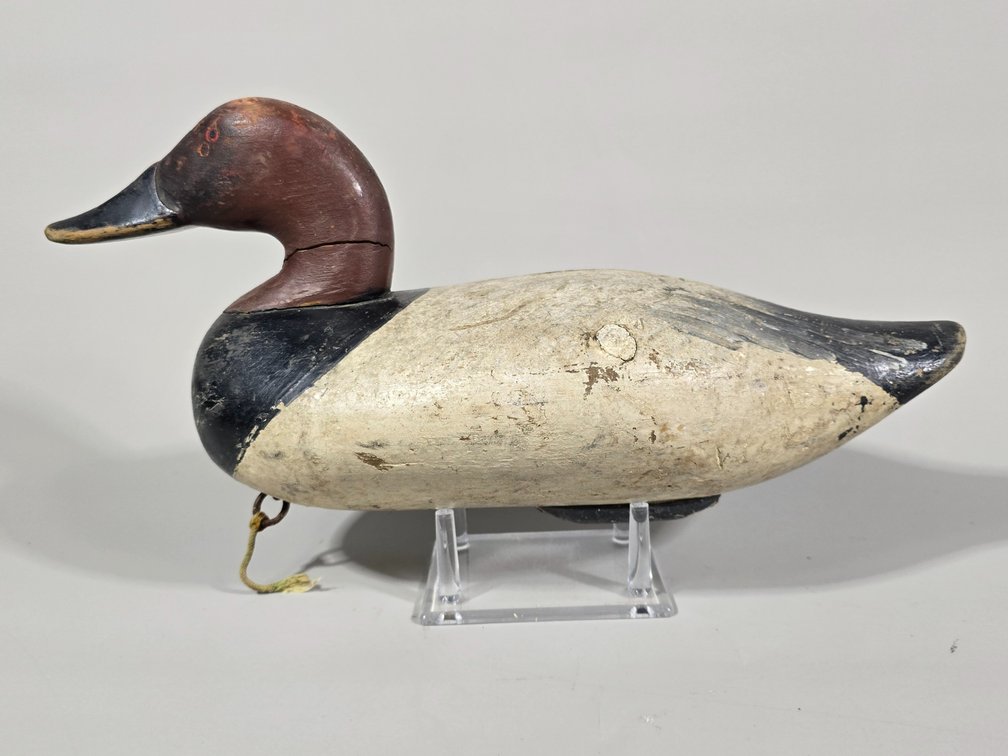 Jim Currier, Havre de Grace, MD, Canvasback