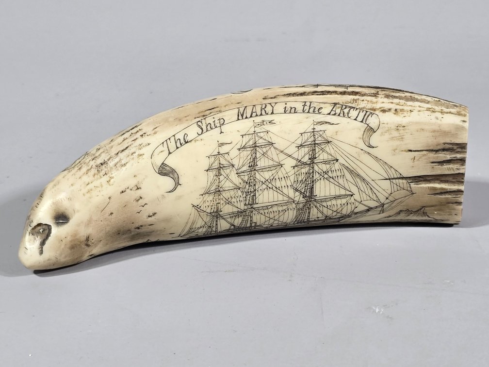 Scrimshaw Style Carving