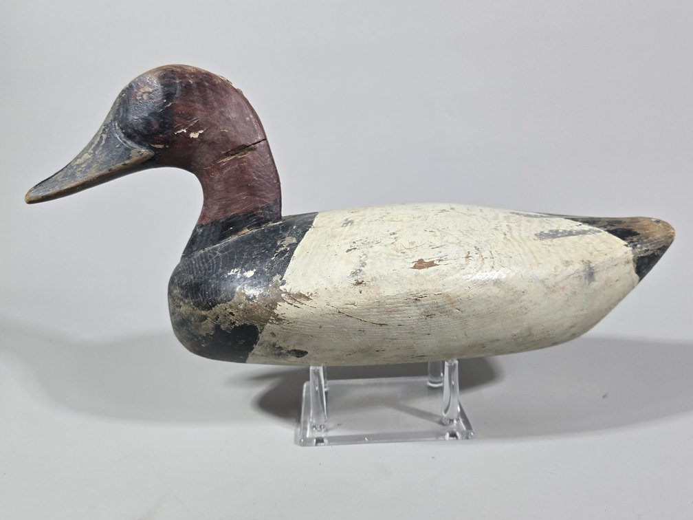 Capt.  John Glenn,  Rock  Hall,  MD  Canvasback