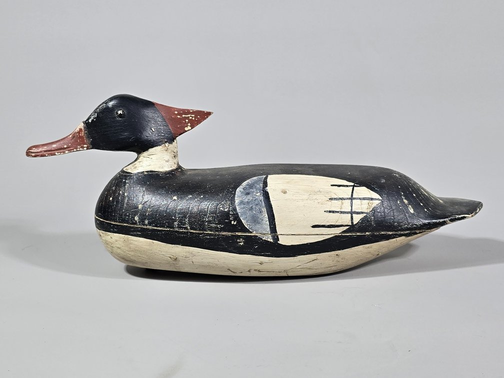 Eugene Hendrickson,  Northfield,  NJ Merganser