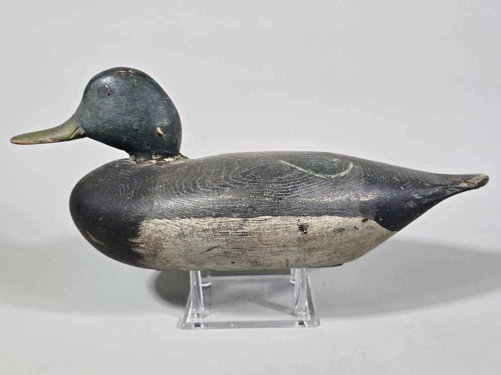 Factory Mallard