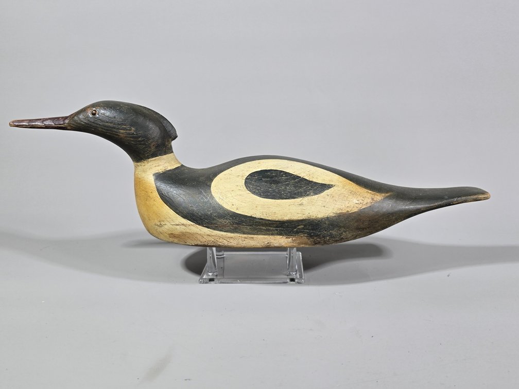 Common Merganser, Unknown Maker