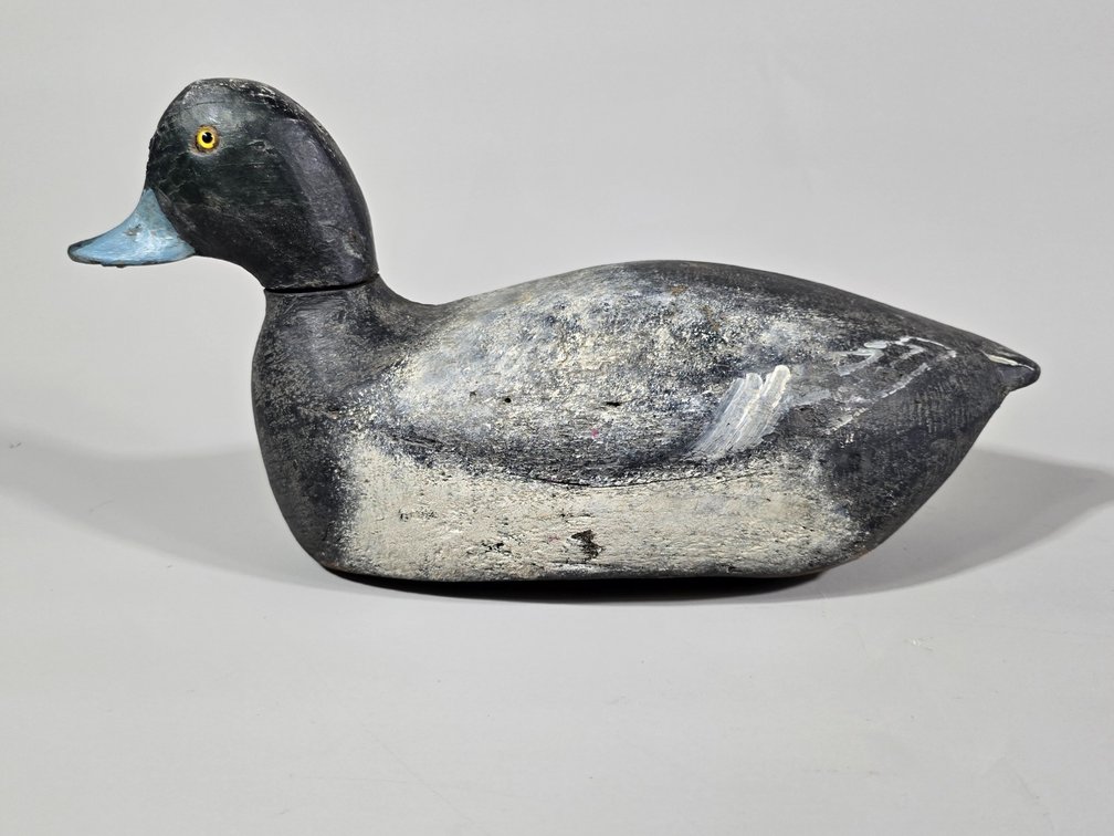 Lloyd Tyler, Crisfield, MD, Bluebill