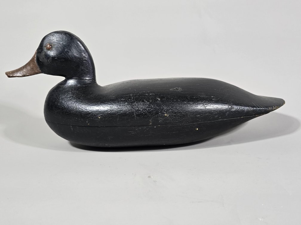 New Jersey, Black Duck
