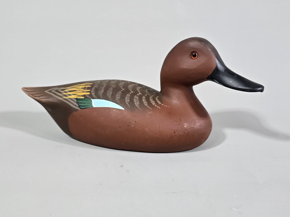 Bill Schauber,  Chestertown,  MD Cinnamon Teal