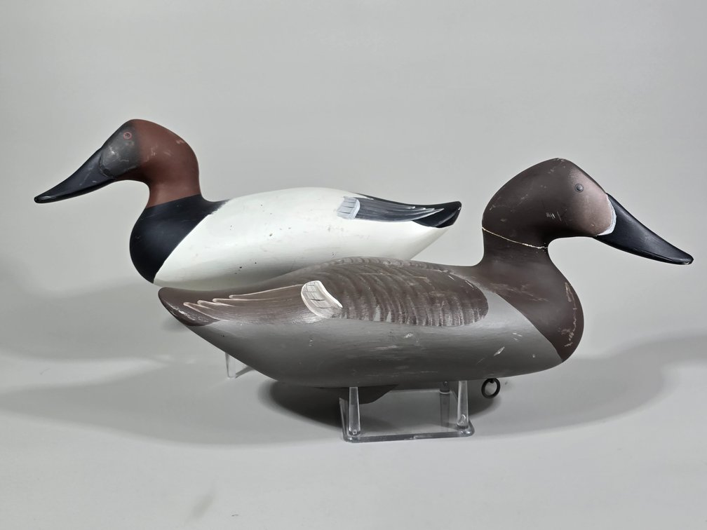 Pat Vincenti,  Havre de Grace,  MD Canvasback Pair