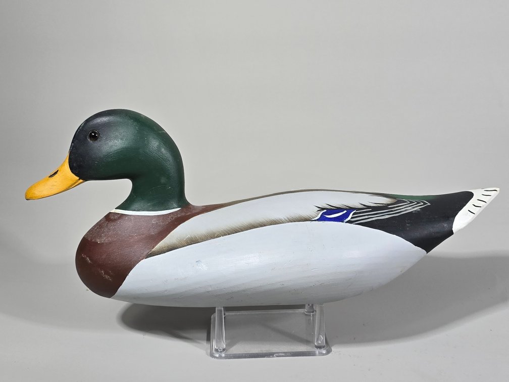 Bill Fetterman, Cordova,  MD Mallard