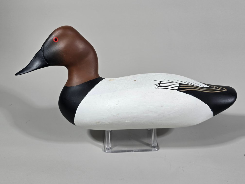 Bill Fetterman, Cordova, MD Canvasback