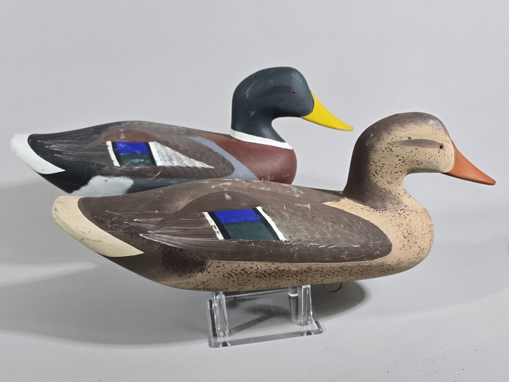Jim Pierce,  Havre de Grace,  MD Mallard Pair