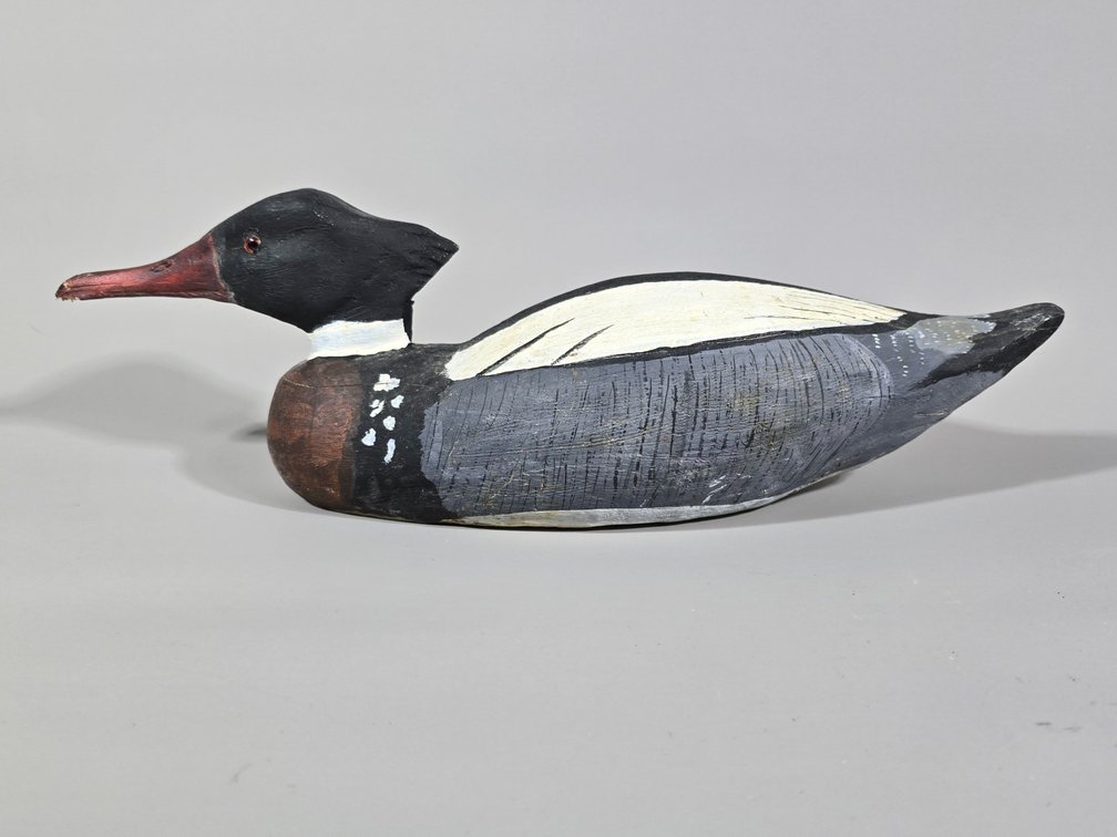Edward "Sonny Williams,  Atlantic,  VA Merganser