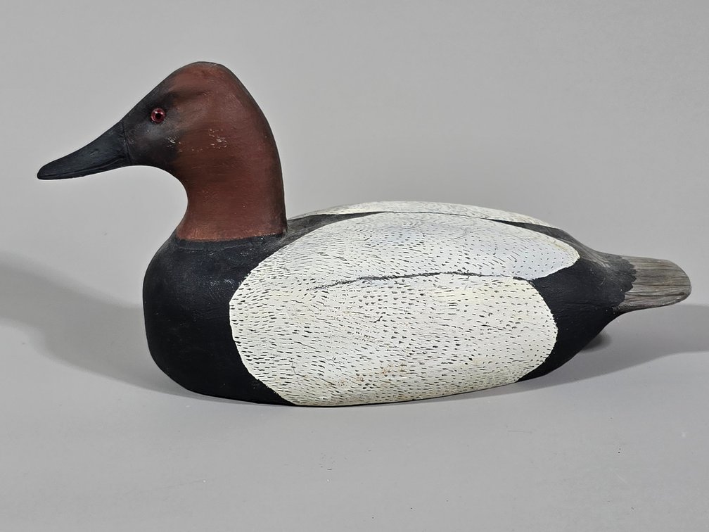 Cork McGee, Chincoteague,  VA Canvasback Mini