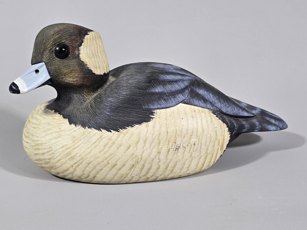 Decorative Bufflehead Drake