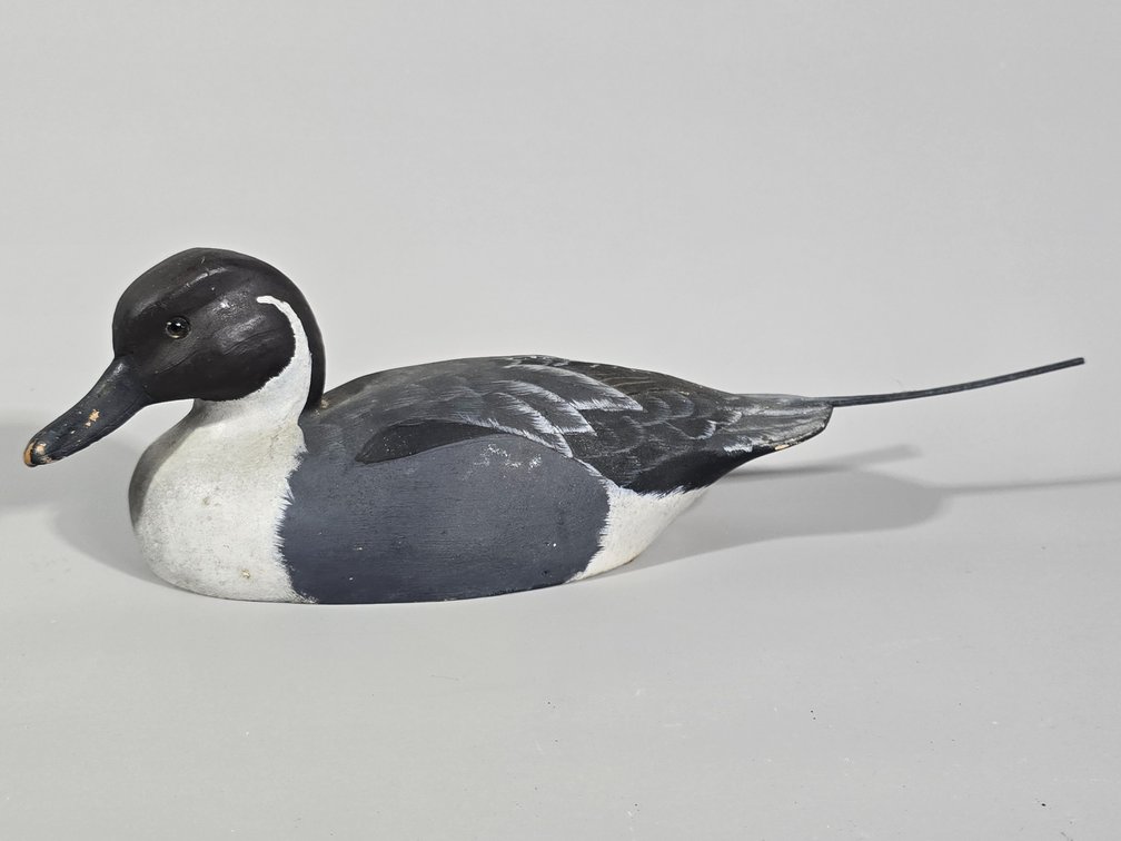 William Veasey, Mini Pintail