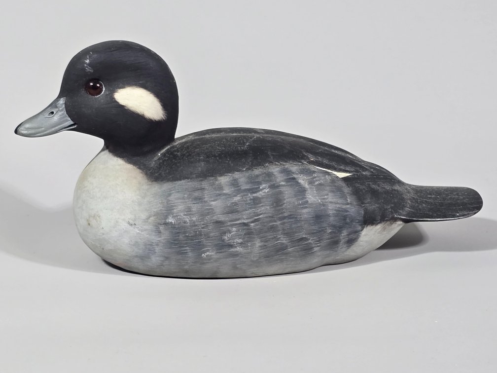 Ronald Justis,  Chincoteague VA Bufflehead