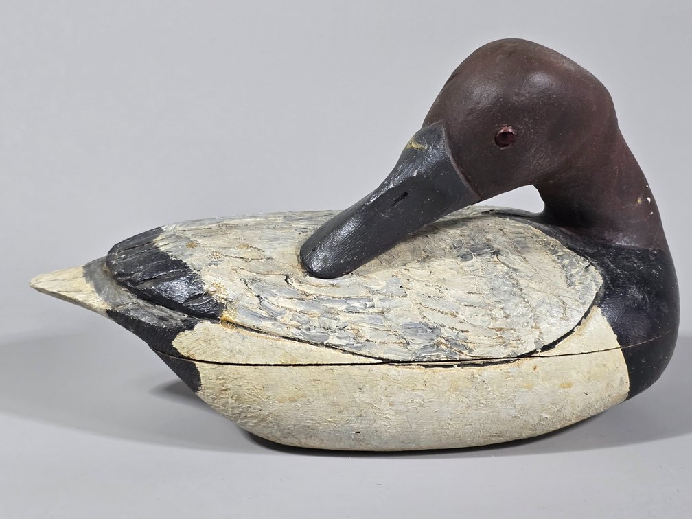 E. T. Williams,  Martha's Vineyard,  Mass. Canvasback