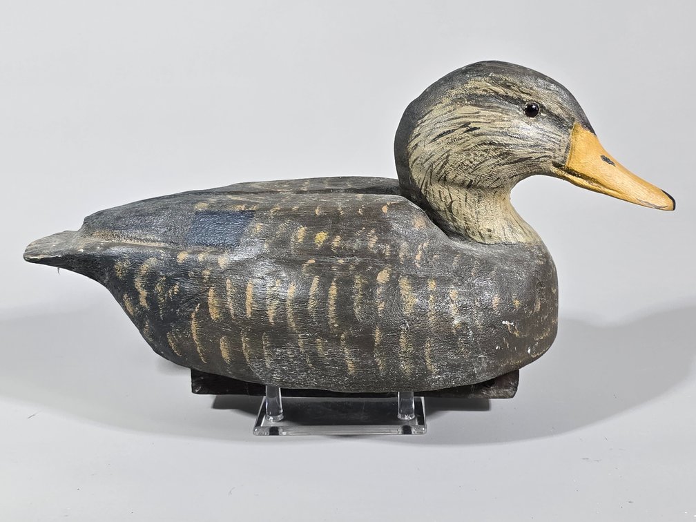 Edward "Sonny " Williams,  Atlantic,  VA Black Duck