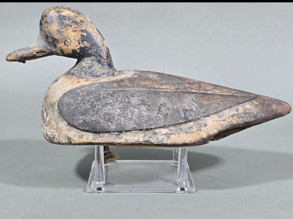 Bufflehead by Unknown Maker