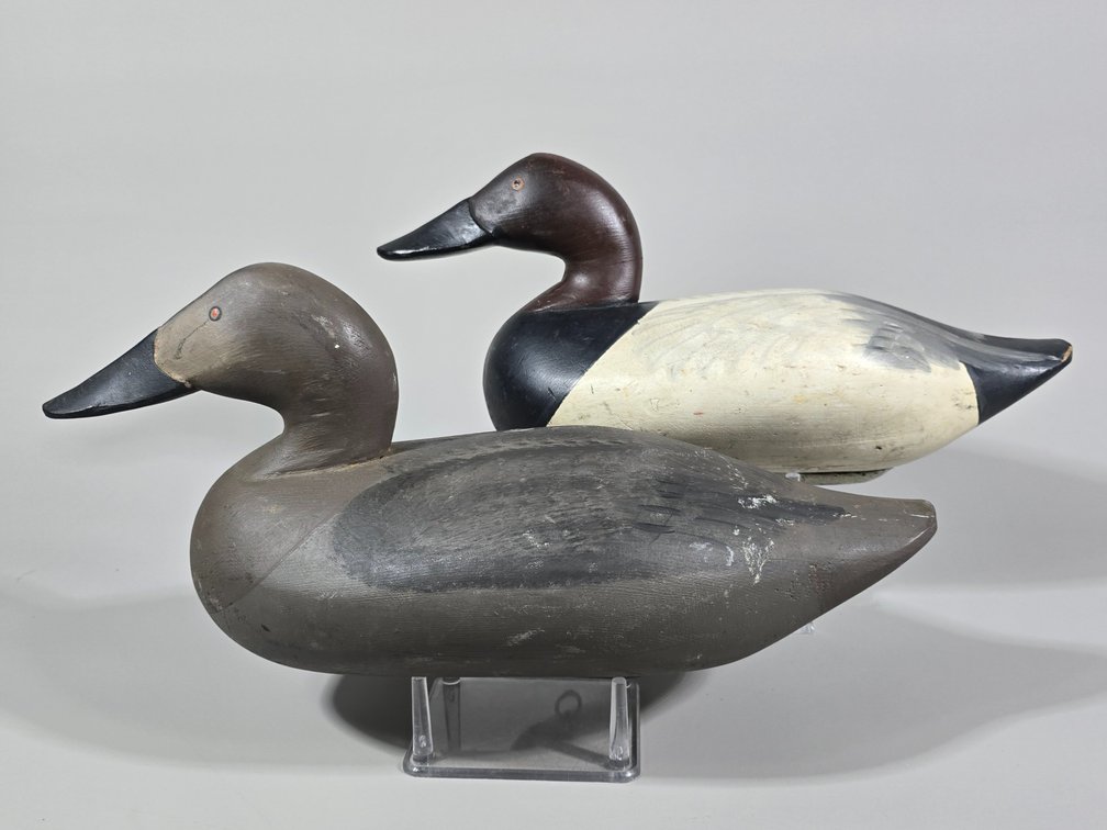 Paul Gibson,  Havre de Grace,  MD Canvasback Pair