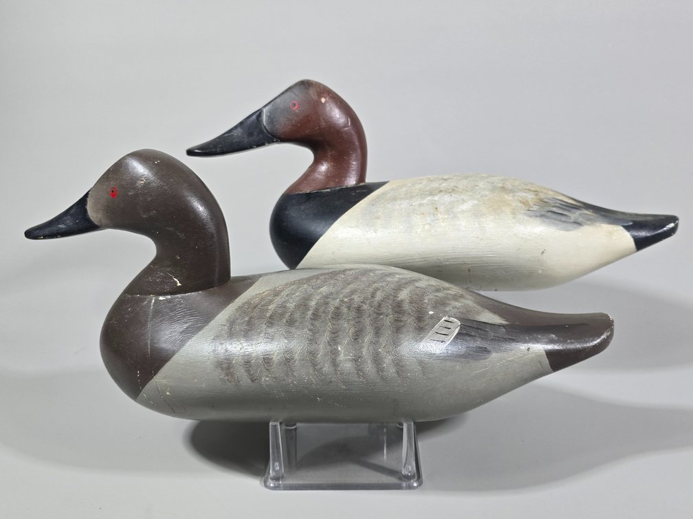 Charlie Bryan,  Middle River,  MD Canvasback Pair