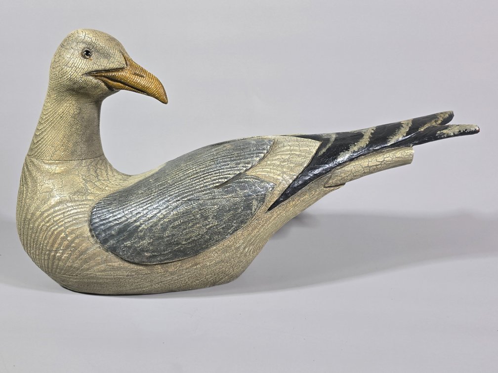 Thomas Langan, North Carolina Gull