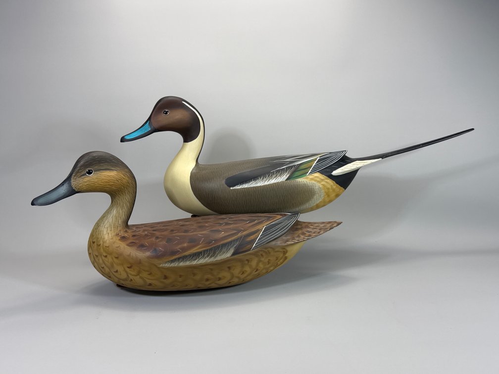 Jode Hillman, Mullica Hill, NJ, Pintail Pair