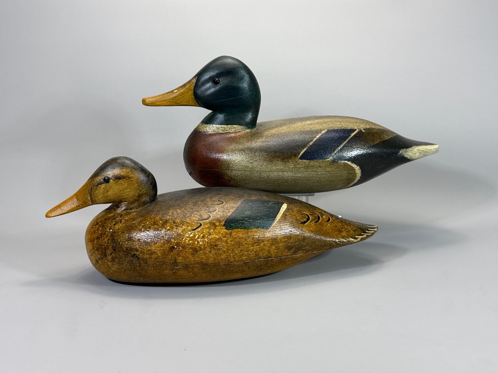 Ken Kirby, Little Egg Harbor, NJ, Mallard Pair