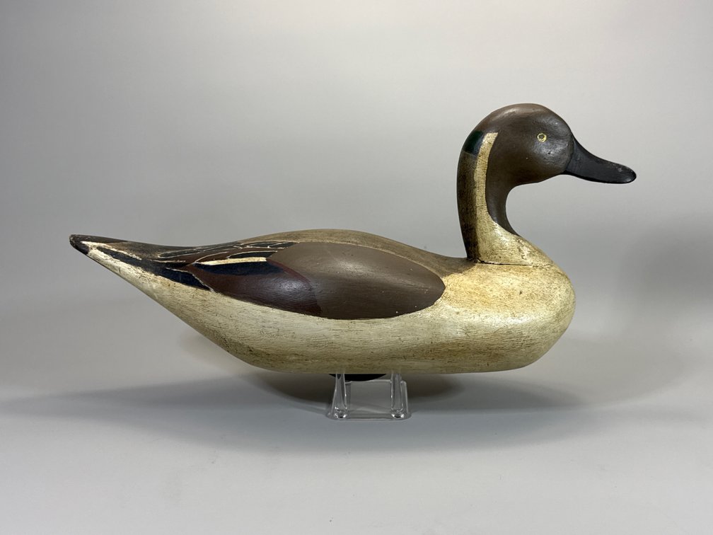 Horace Graham, Charlestown, MD, Pintail