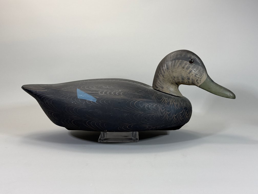 Decoys Unlimited, Black Duck